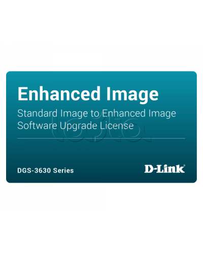 ПО D-Link DGS-3630-28PC-SE-LIC в Уфе Беспроводное оборудование Pintop.ru