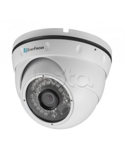 IP-камера видеонаблюдения купольная EverFocus ACE-IAV30 в Уфе IP-камеры Pintop.ru