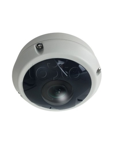 IP-камера видеонаблюдения купольная EverFocus ACE-KU89F в Уфе IP-камеры Pintop.ru