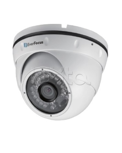 IP-камера видеонаблюдения уличная купольная EverFocus EBN-268 в Уфе IP-камеры Pintop.ru