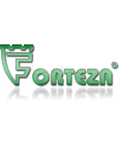 Плата сменная Forteza Плата БГр-4 в Уфе Устройства защиты операционных процессоров (ОПС) Pintop.ru